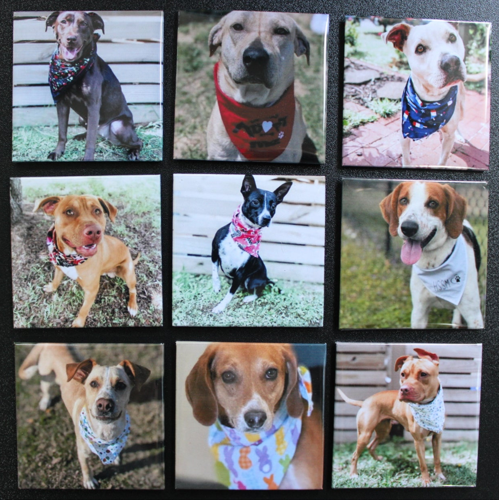 ** 2inch Custom Photo Magnets