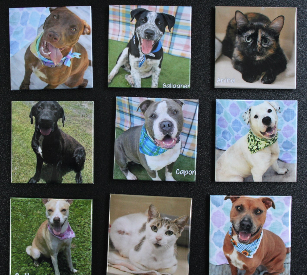 ** 2inch Custom Photo Magnets