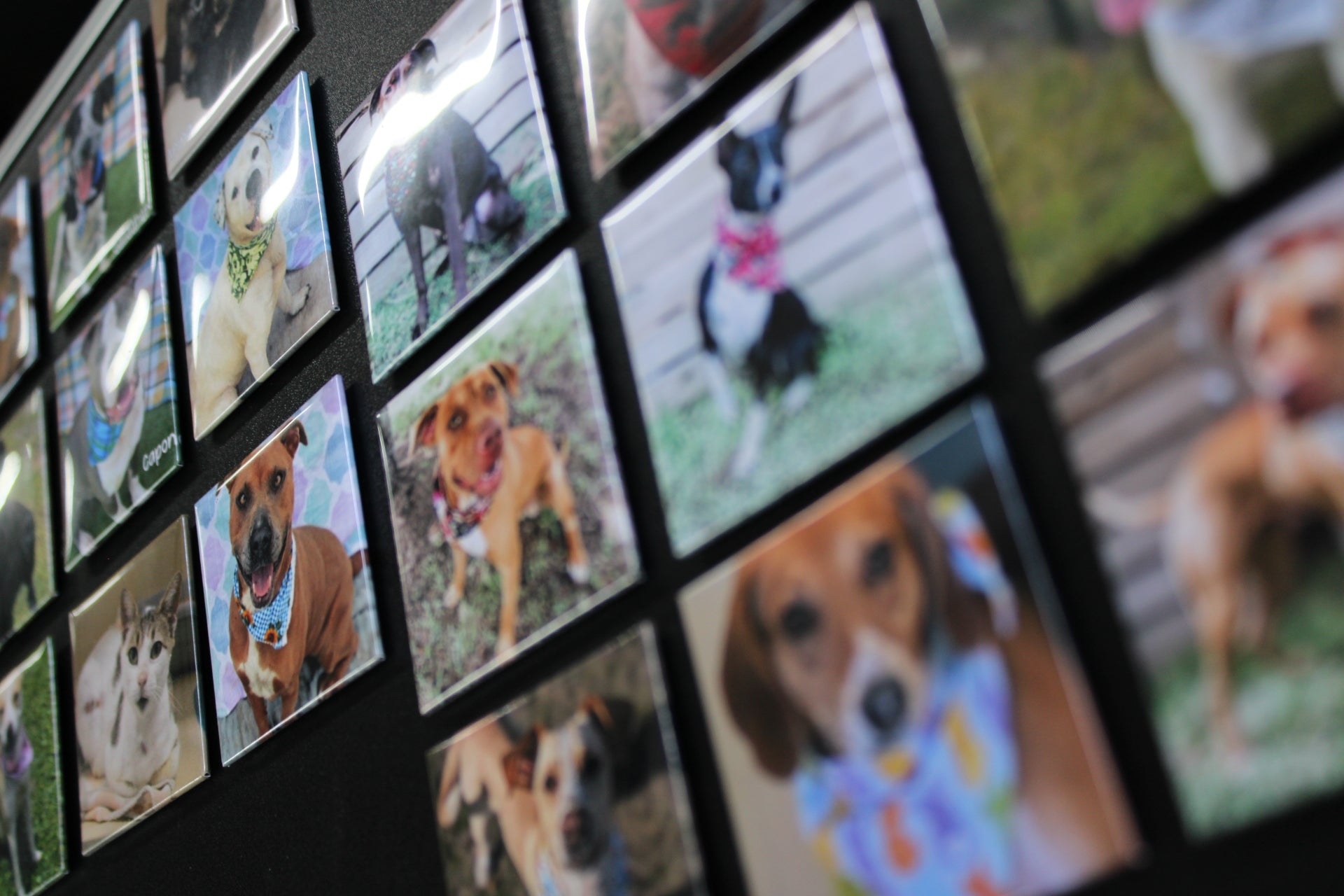 ** 2inch Custom Photo Magnets